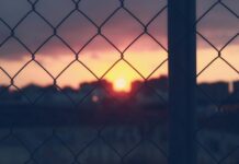 Chain Link Fence