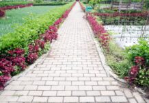 Paving Solutions